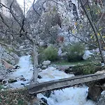 Bujtina Shpella E Plakes Cercan